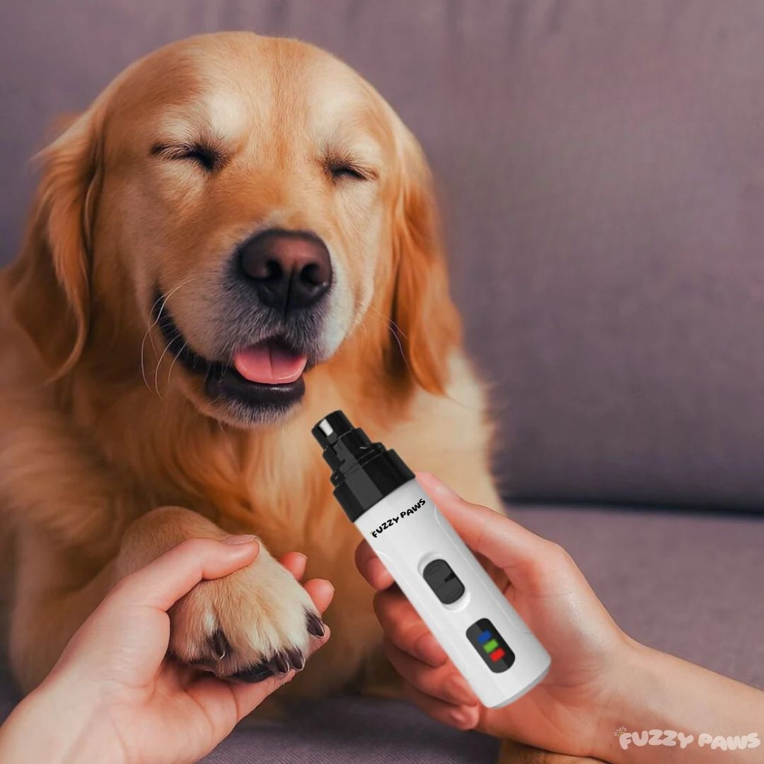 Electric Dog Nail Grinder – Low Noise and Rechargeable