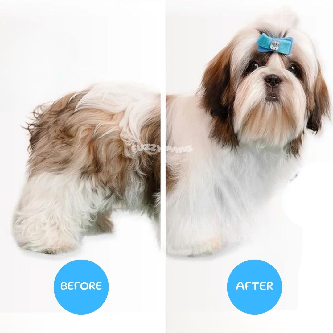 Rechargeable Pet Brush with Steam Spray – Grooming, Hair Removal and Massage