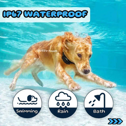 Waterproof Remote Dog Training Collar – Beep, Vibration and Adjustable Modes