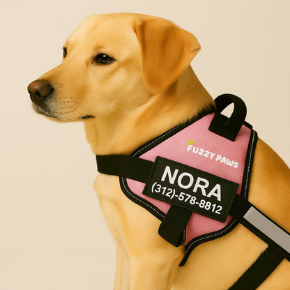 Personalized Reflective Dog Harness – Adjustable, Customizable with Name and Phone Number