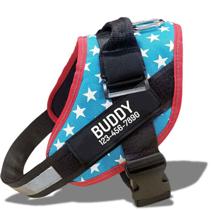 Personalized Dog Harness – Custom Name and Phone Tag – Adjustable and Reflective