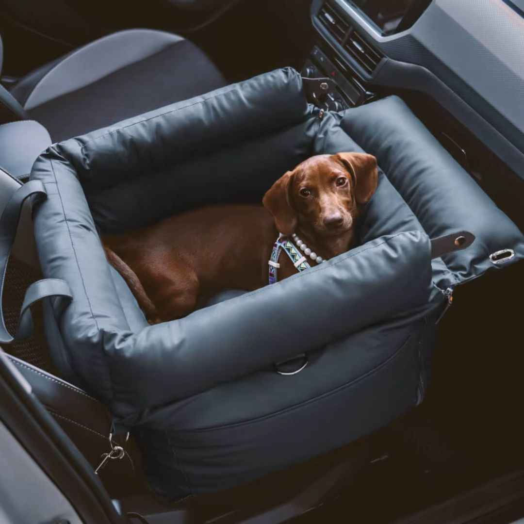 Dog Car Seat Bed – Booster Style, Comfortable for Travel