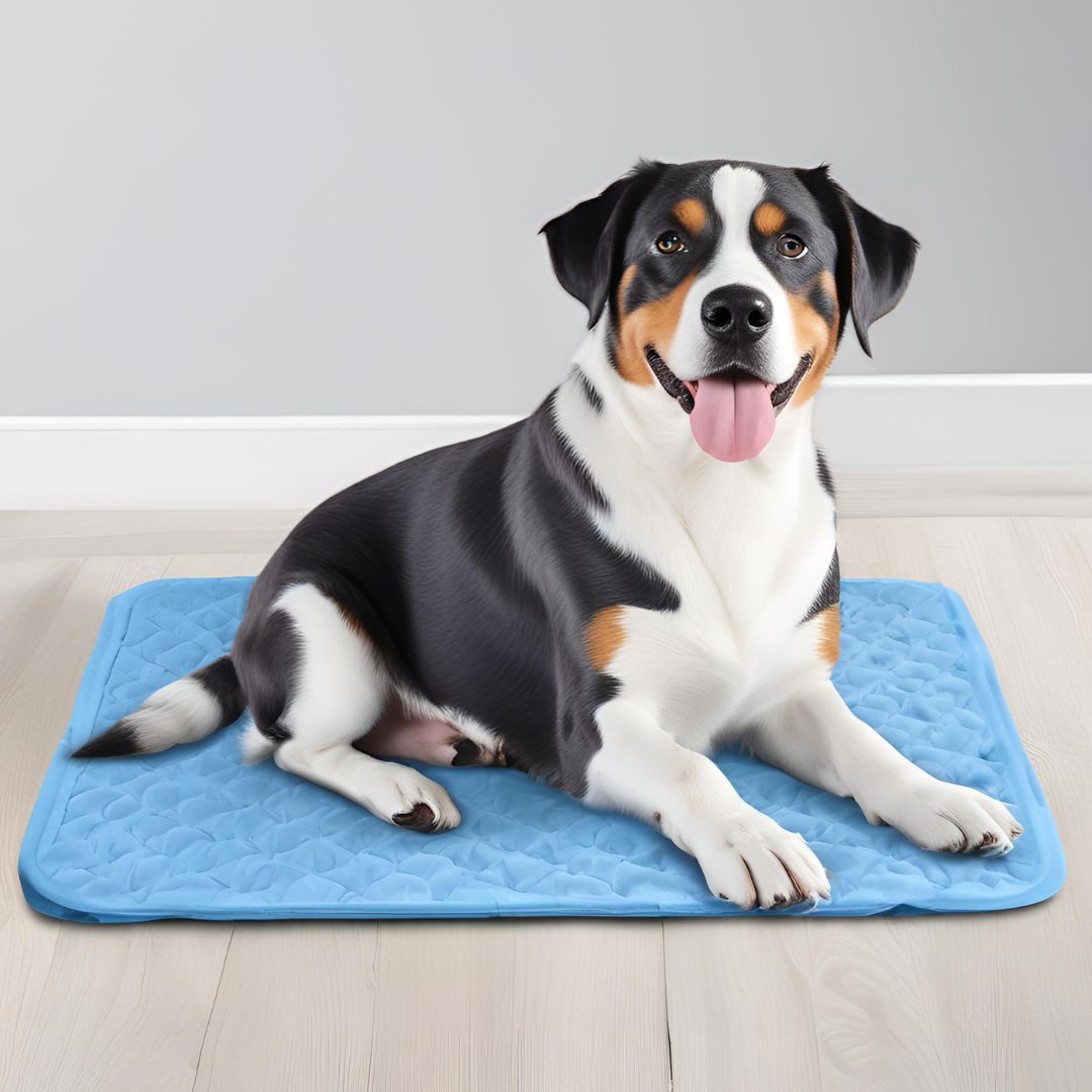 Cooling Mat for Dogs and Cats