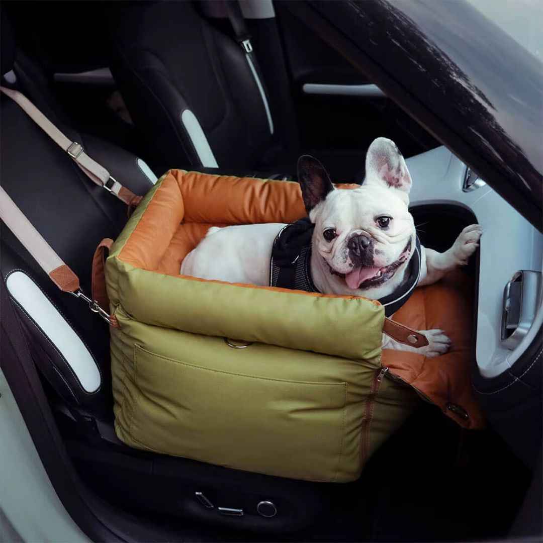 Dog Car Seat Bed – Booster Style, Comfortable for Travel