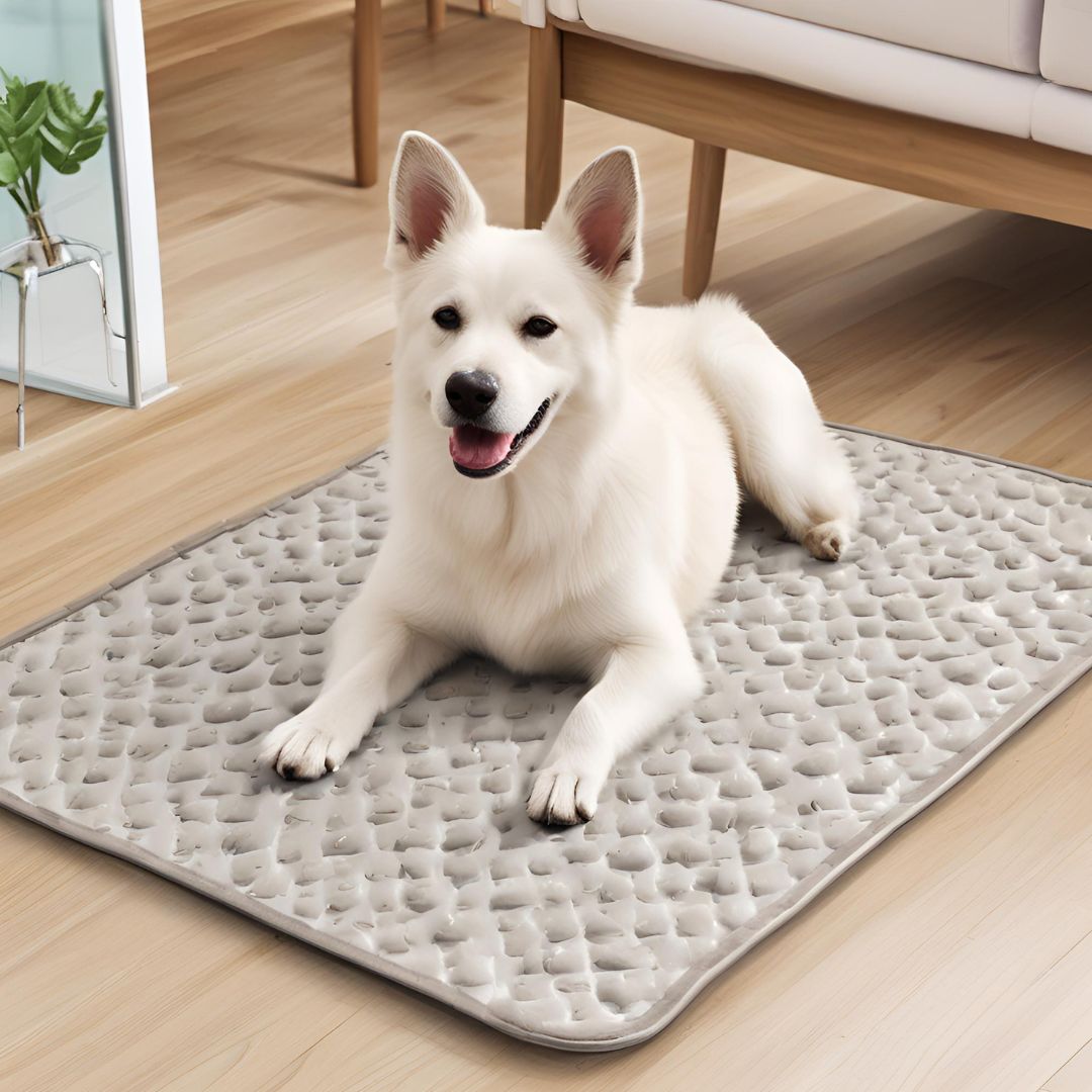 Cooling Mat for Dogs and Cats