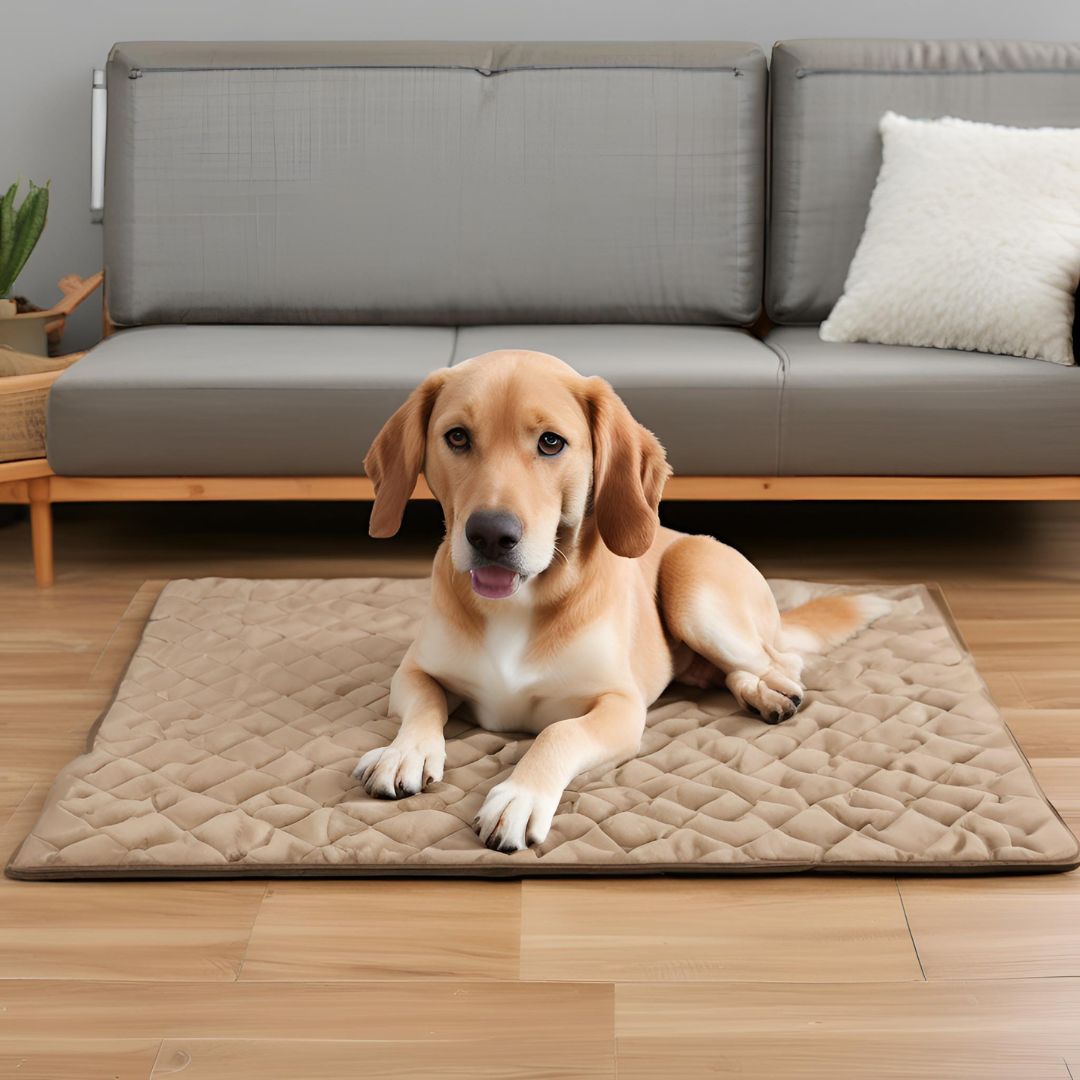 Cooling Mat for Dogs and Cats