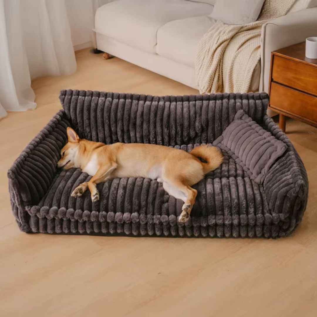 Large Orthopedic Dog Bed – Plush, Washable with Pillow Top – Snoozy Dream