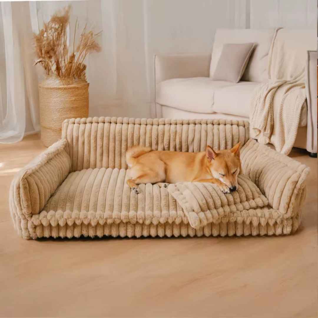 Large Orthopedic Dog Bed – Plush, Washable with Pillow Top – Snoozy Dream