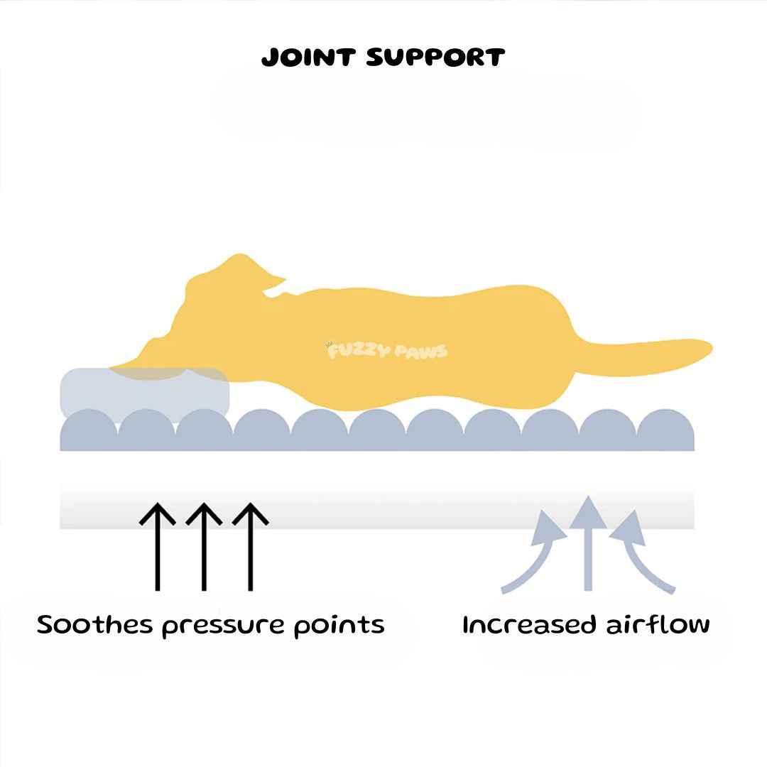 Large Orthopedic Dog Bed – Plush, Washable with Pillow Top – Snoozy Dream