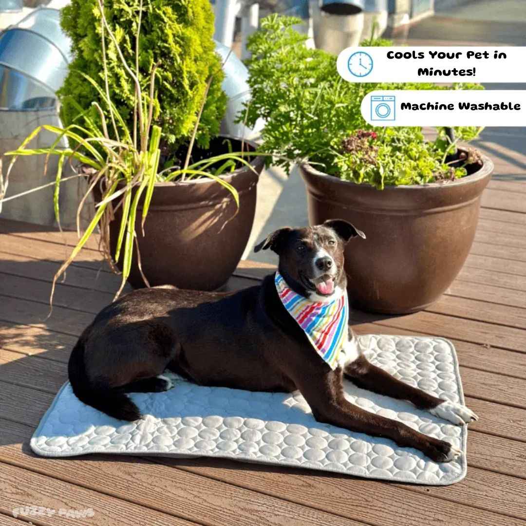 Pet Cooling Mat