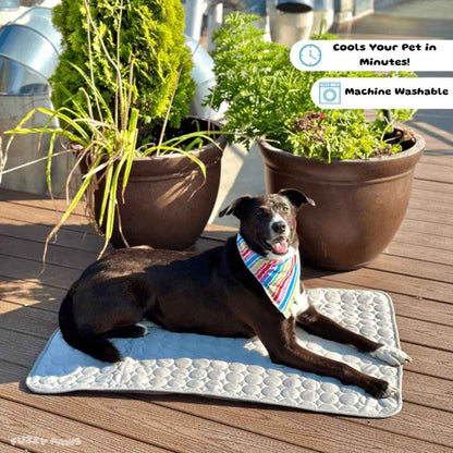Pet Cooling Mat