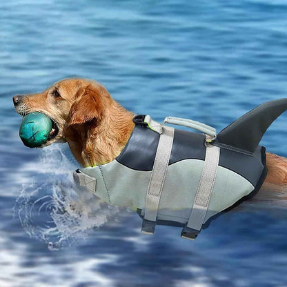 dog life jacket