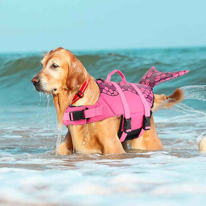 dog life jacket