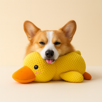 Duck Dog Toy