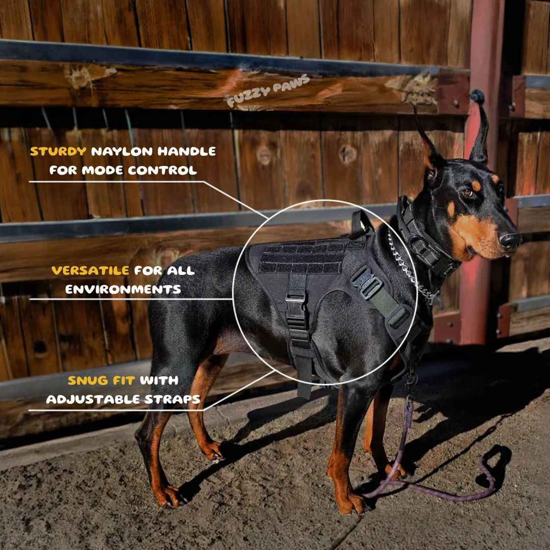 Tactical Dog Harness