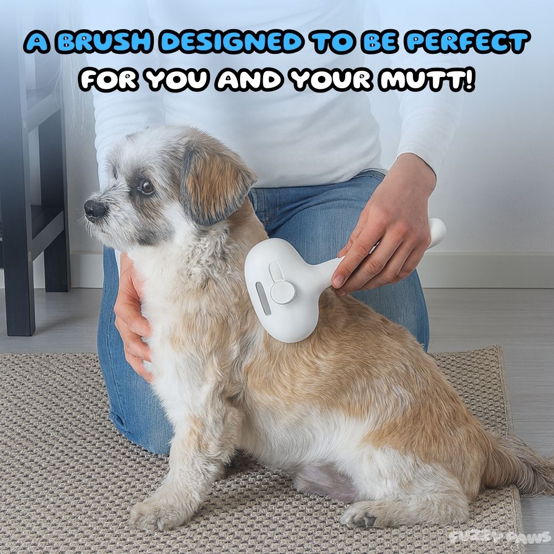 Rechargeable Pet Brush with Steam Spray – Grooming, Hair Removal and Massage