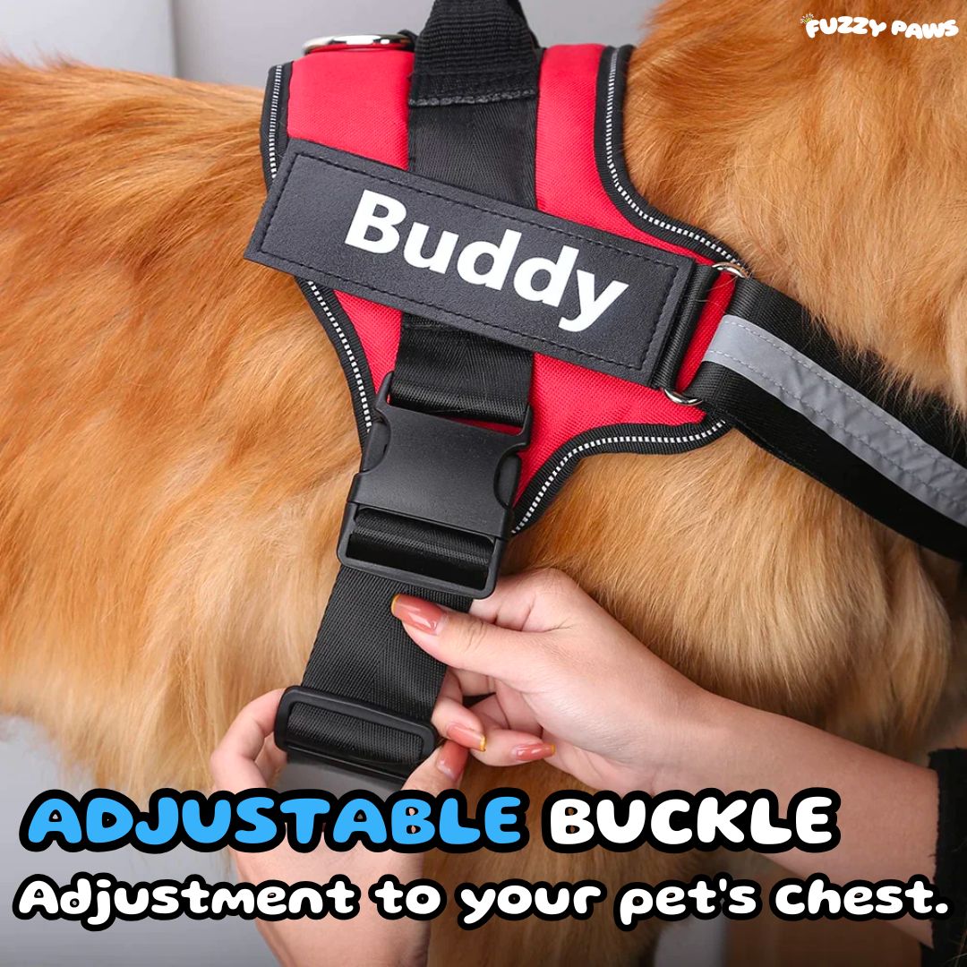 adjustable dog harness