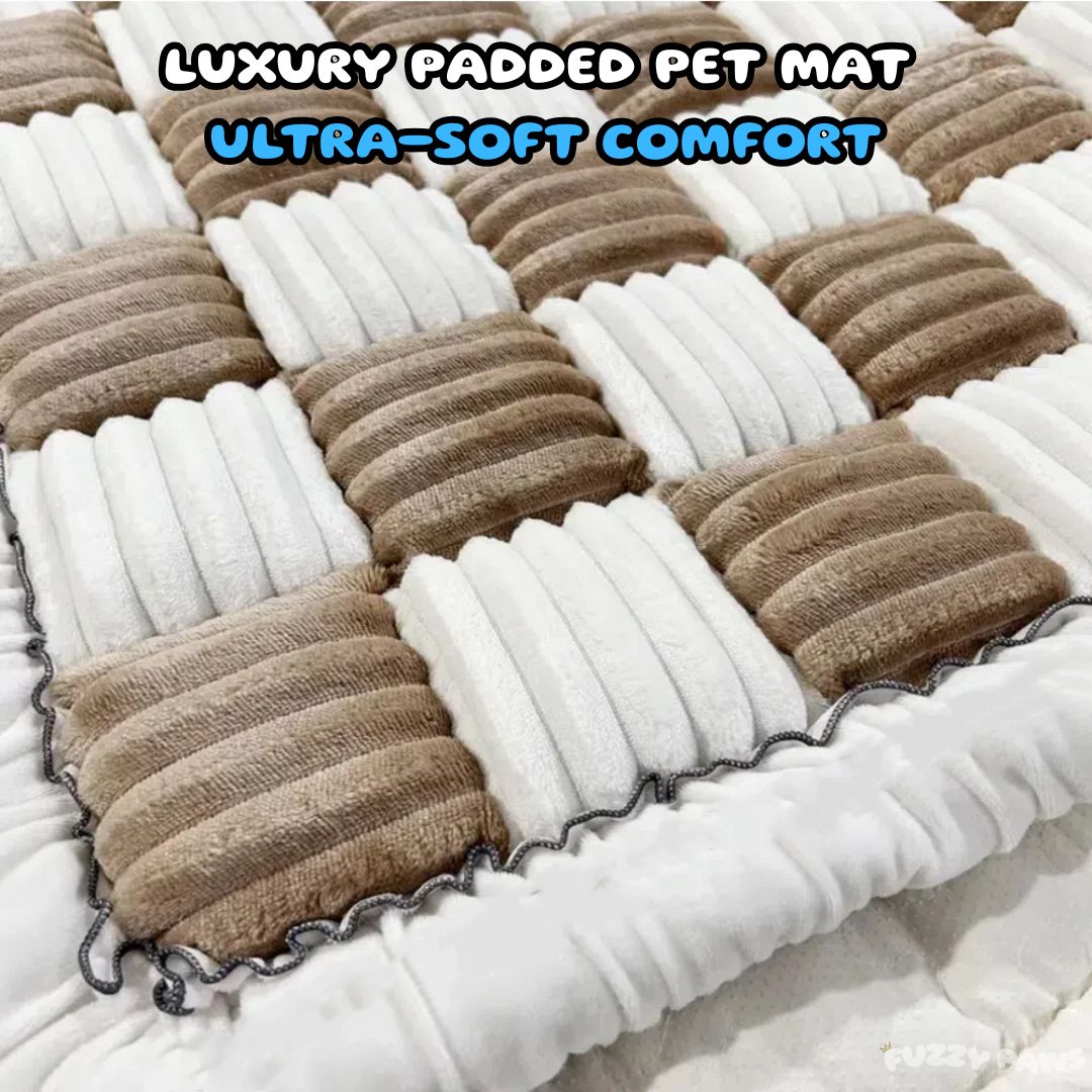 Padded and Washable Car Dog Bed – Non-Slip Base with Seat Extender (Supports up to 127kg)