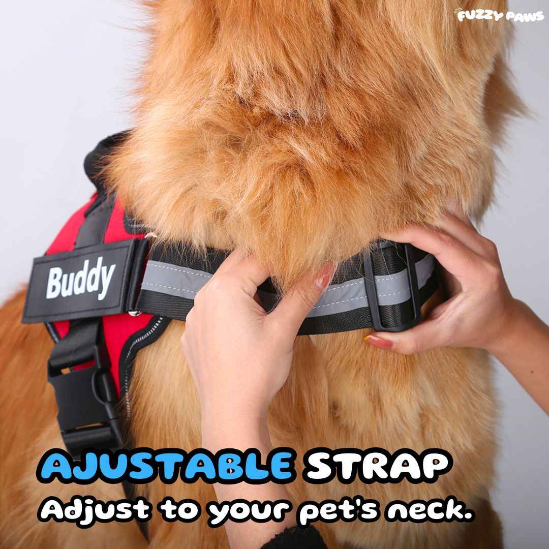 Personalized Dog Harness – Custom Name and Phone Tag – Adjustable and Reflective