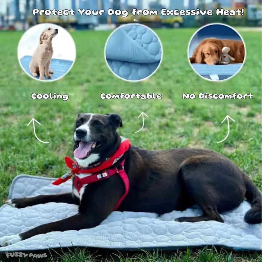 Cooling Mat for Dogs and Cats