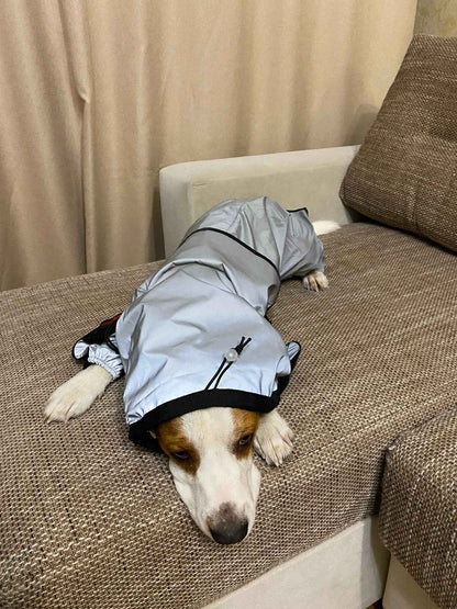 Reflective Waterproof Dog Raincoat