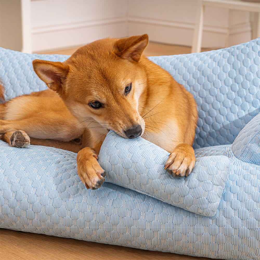 Dog Cooling Bed – Ice Silk, Breathable, Washable Sofa Style