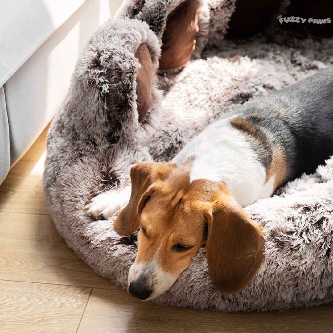 Cloud Dog Bed – Washable, Soft and Cozy for Small to Large Dogs