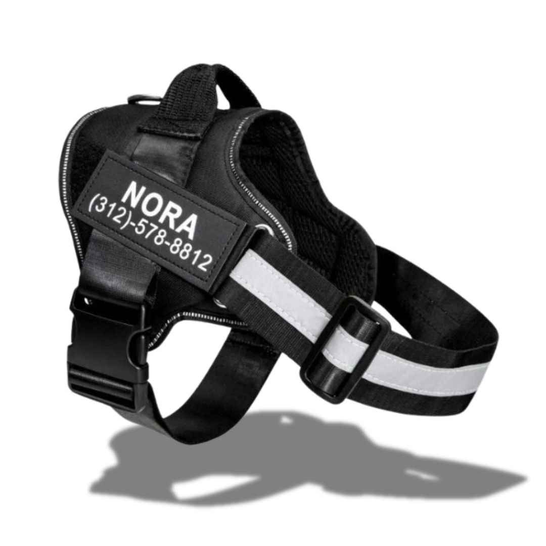 personalized dog harness