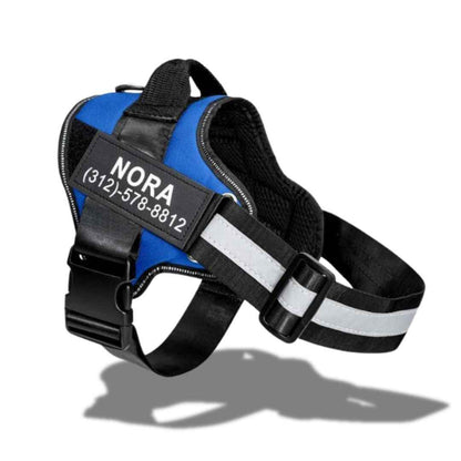 personalized dog harness