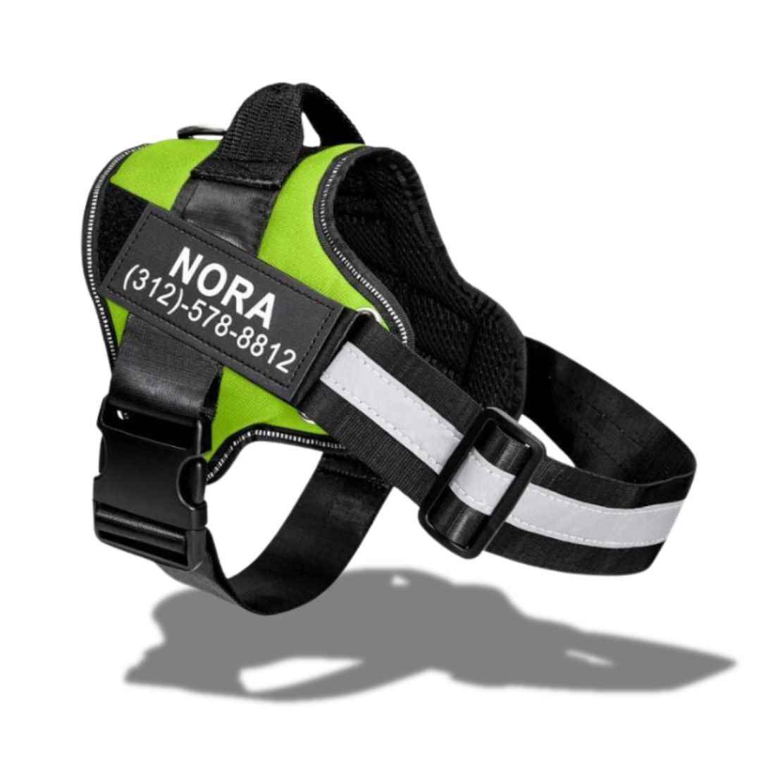 personalized dog harness