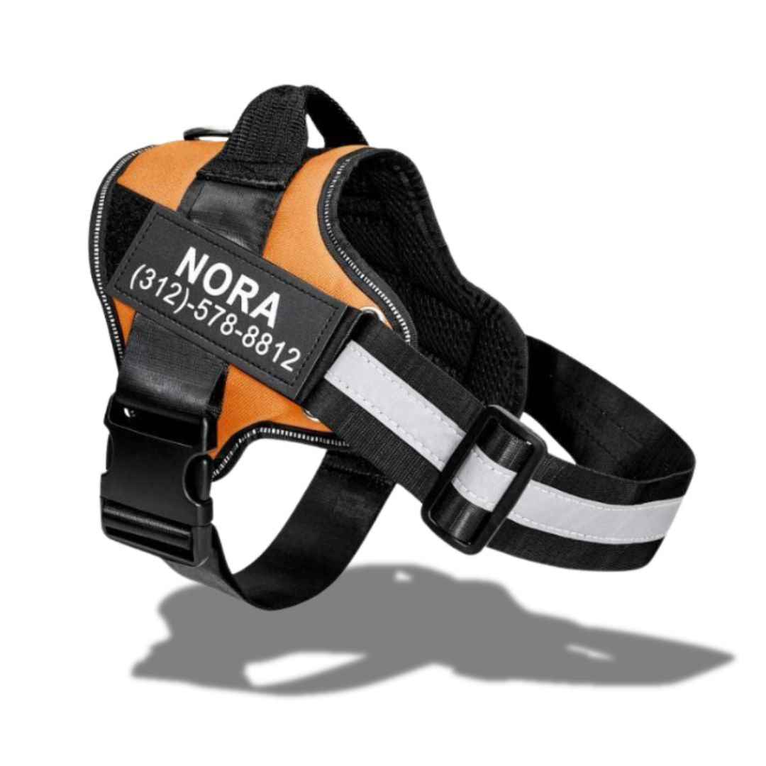 personalized dog harness