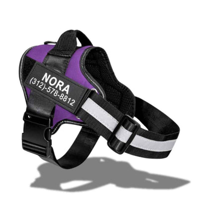 personalized dog harness