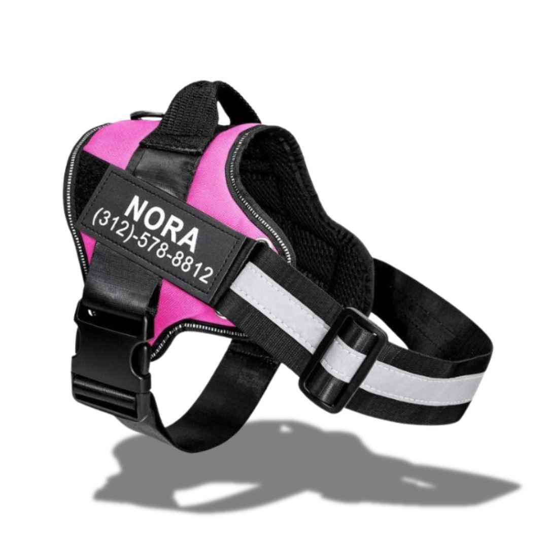 personalized dog harness