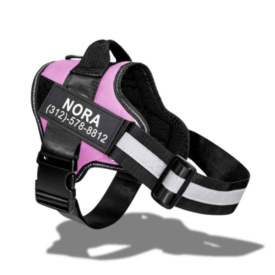 personalized dog harness