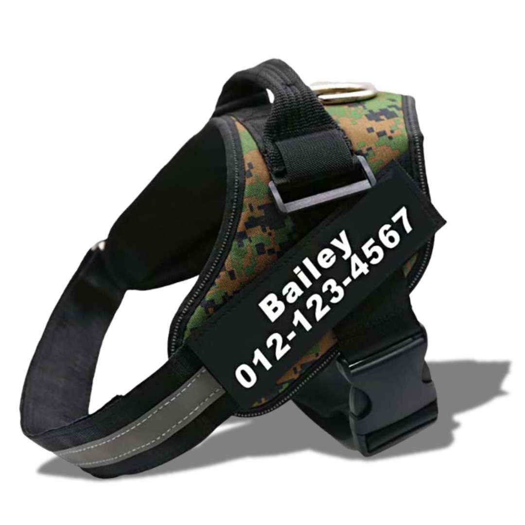 personalized dog harness