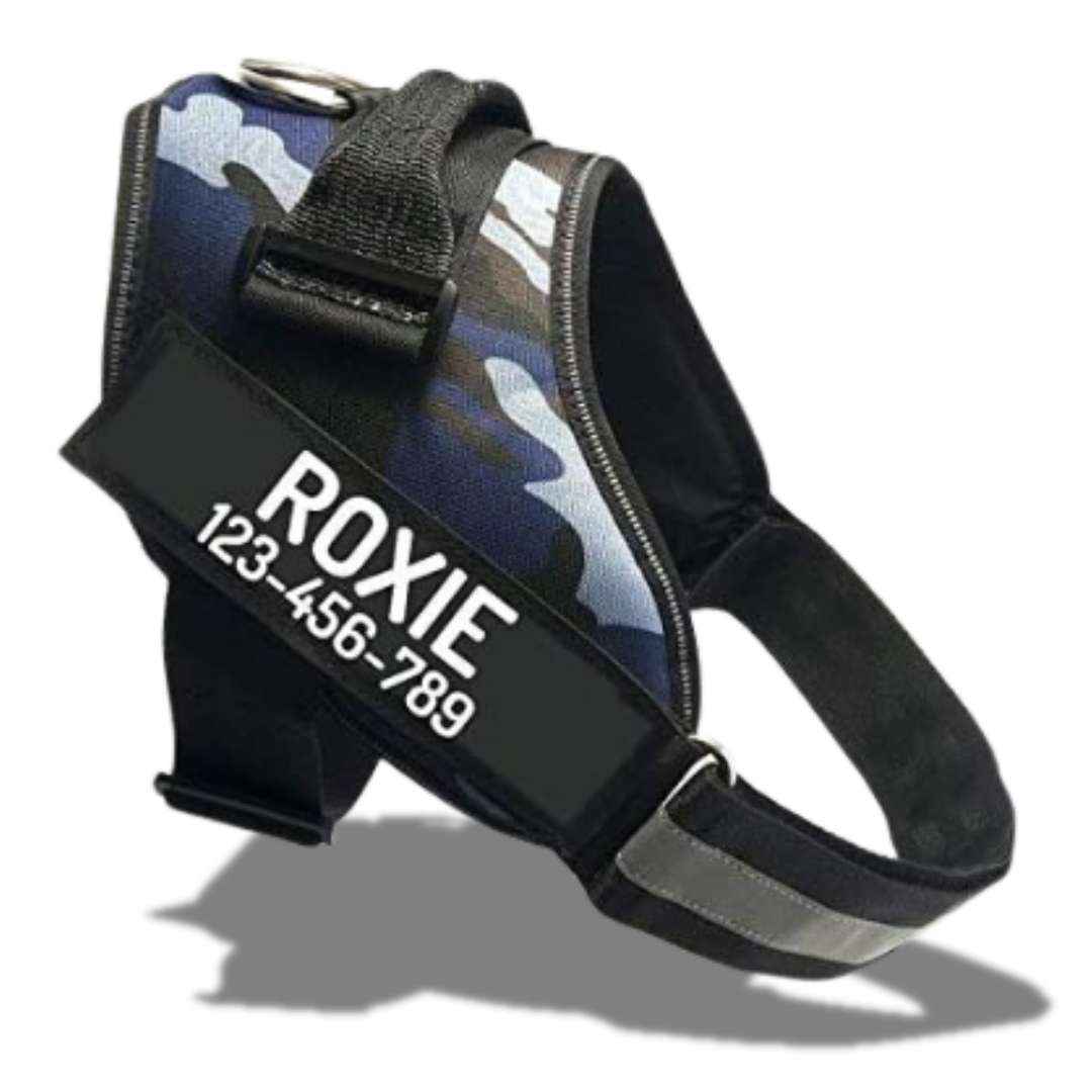 personalized dog harness