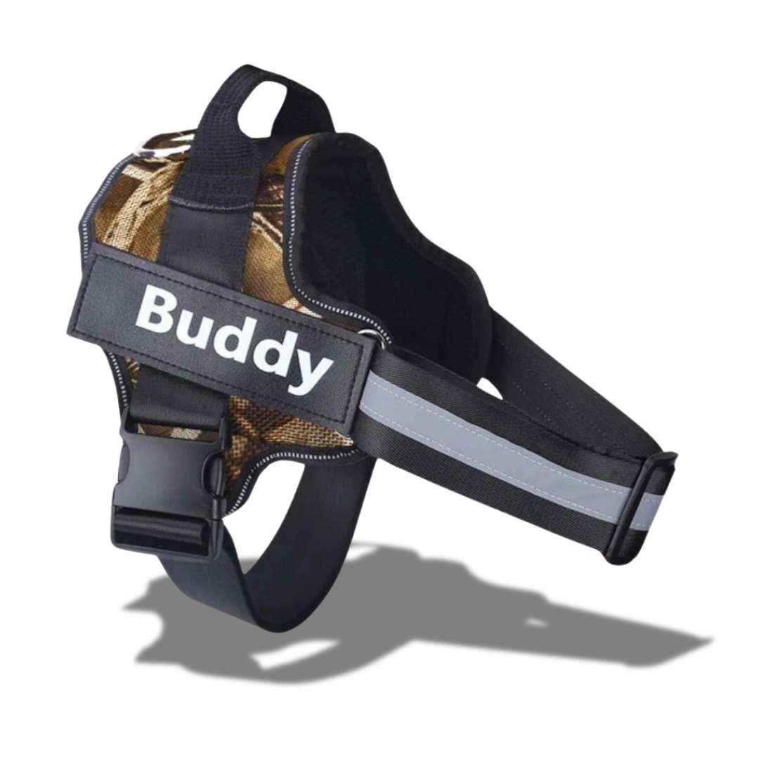 personalized dog harness