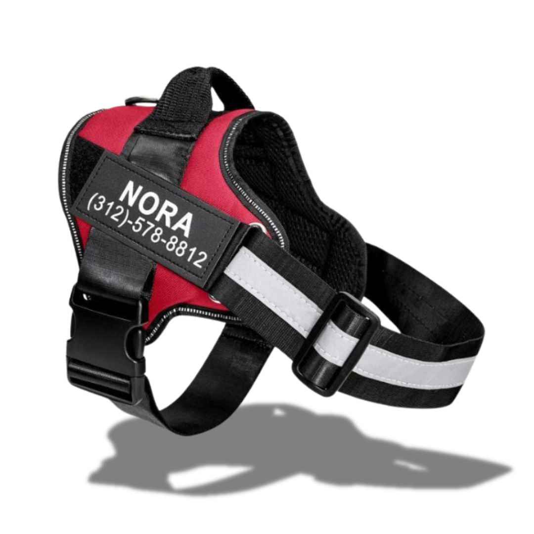 personalized dog harness