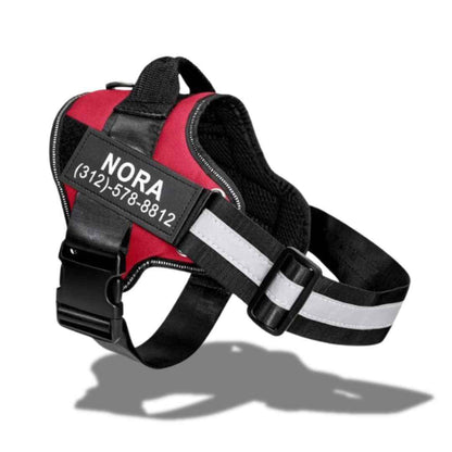 personalized dog harness