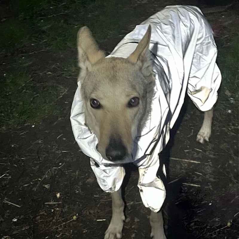 Reflective Waterproof Dog Raincoat