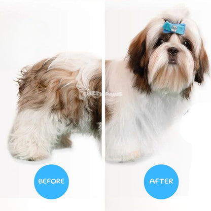 Rechargeable Pet Brush with Steam Spray – Grooming, Hair Removal and Massage