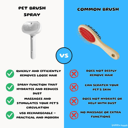 Rechargeable Pet Brush with Steam Spray – Grooming, Hair Removal and Massage