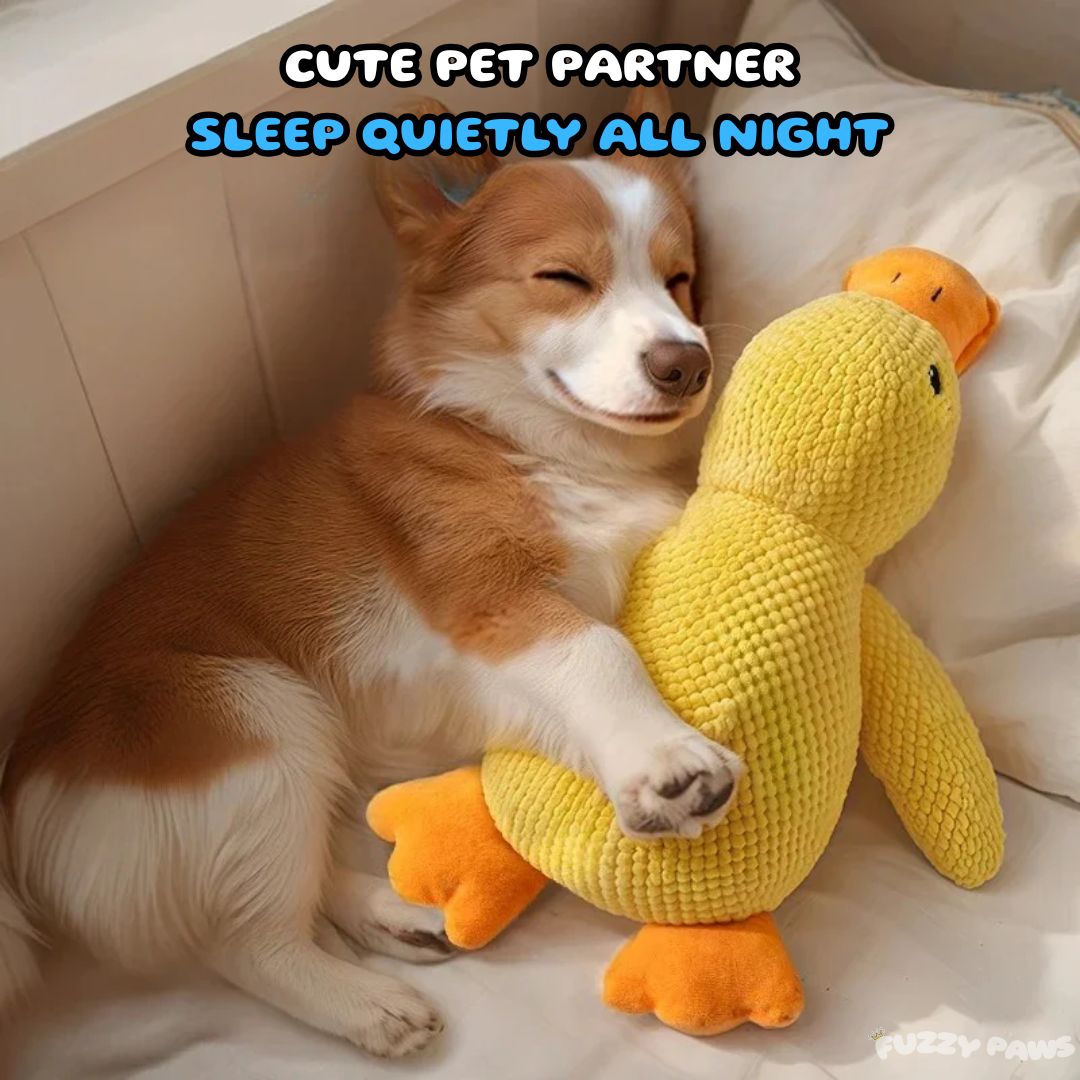 Duck Dog Toy