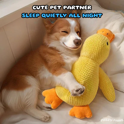 Duck Dog Toy