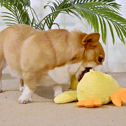Duck Dog Toy