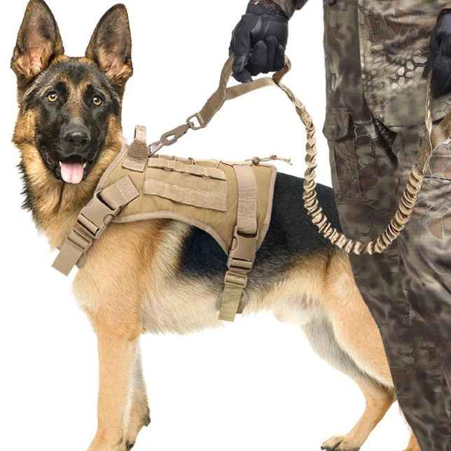 Tactical Dog Leash with Dual Handle – Heavy Duty Bungee, No-Pull Design for Large Dogs