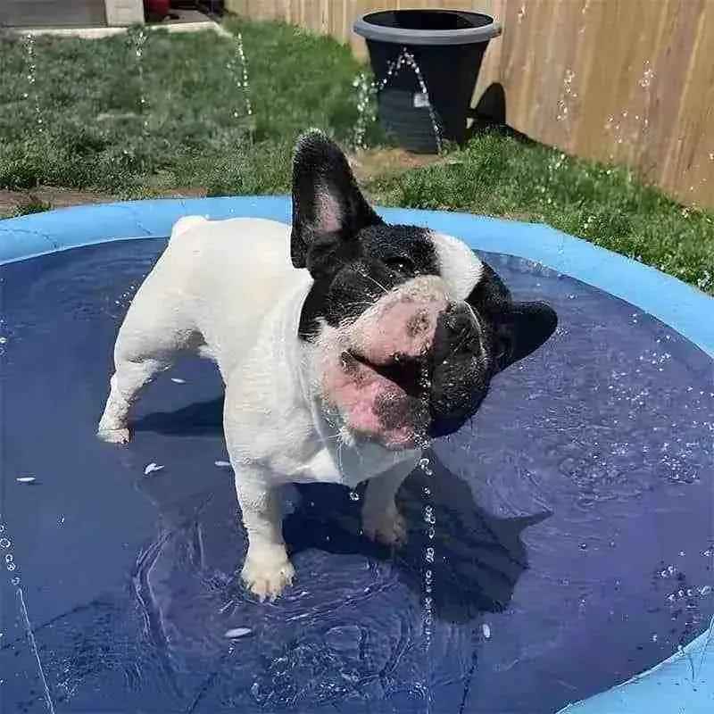 Dog Pool with Sprinkler Fountain – For Small to Large Dogs