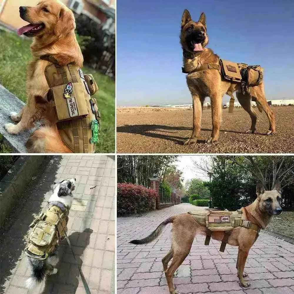 Tags para Peitorais Militares | Mundo Animalito - Mundo Animalito